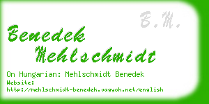 benedek mehlschmidt business card